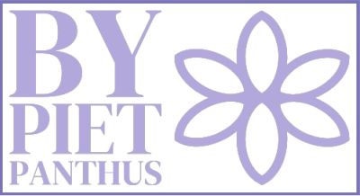 Agapanthus