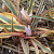Botanische Tulp Interaction